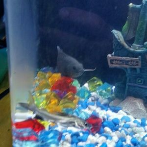 Meet your Posher, Brendan